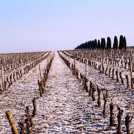 Chateau De La Galissonniere Panzió Le Pallet Kültér fotó