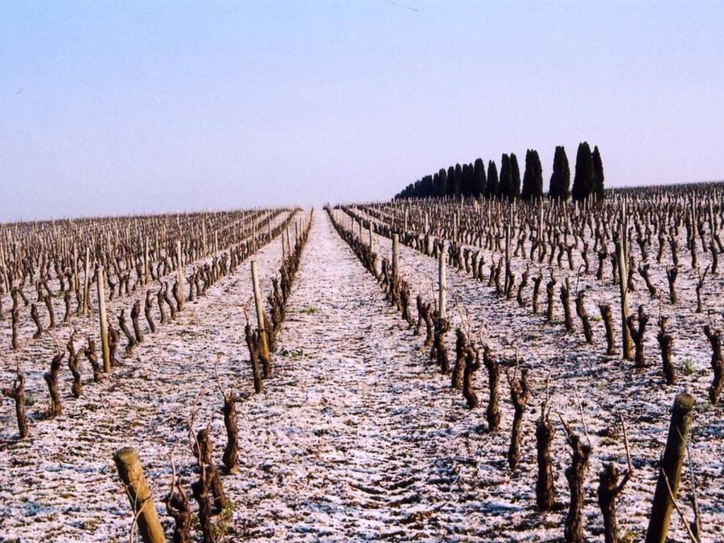 Chateau De La Galissonniere Panzió Le Pallet Kültér fotó